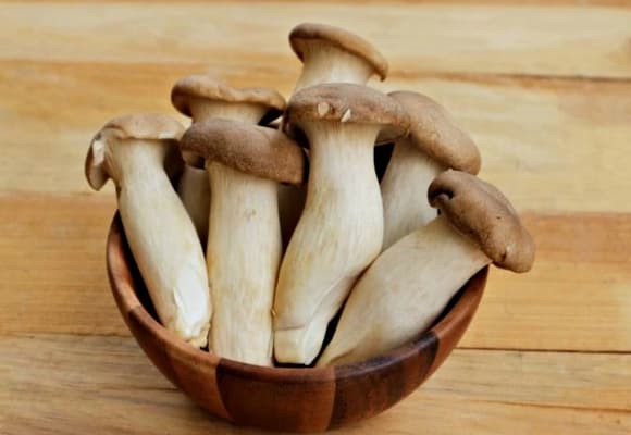 Nấm đùi gà được ví như