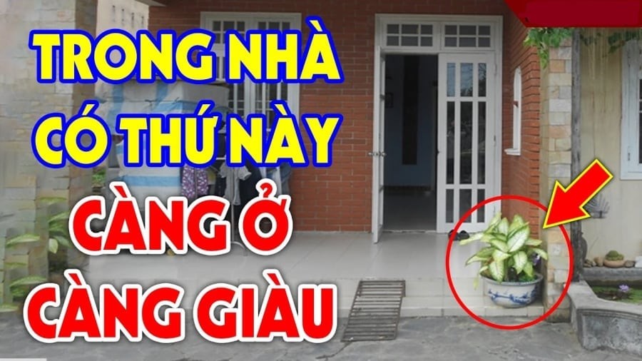 Dấu hiệu nhà bạn sắp có song hỷ lâm môn giàu có may mắn