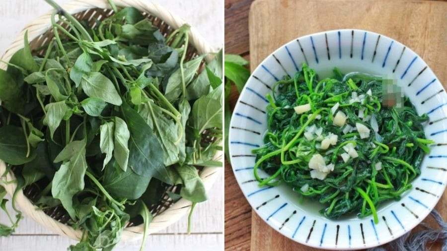 Lá ớt có thể ăn được và mang lại nhiều lợi ích cho cơ thể.