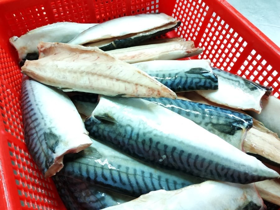Nguyên liệu cá nục để kho