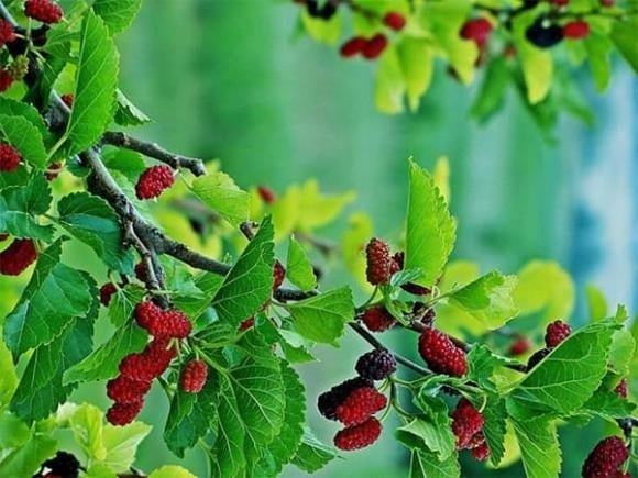 Người xưa luôn coi trọng yếu tố may mắn, mong muốn mọi việc trong cuộc sống được thuận lợi, hanh thông.