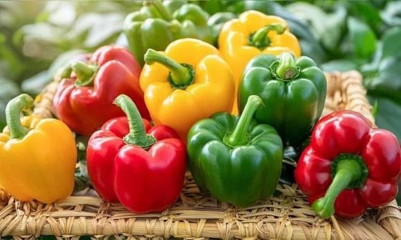 Các chuyên gia dinh dưỡng khẳng định, ớt chuông là loại rau củ ít calo, ít tinh bột, chỉ số đường huyết thấp và giàu chất chống oxy hóa.