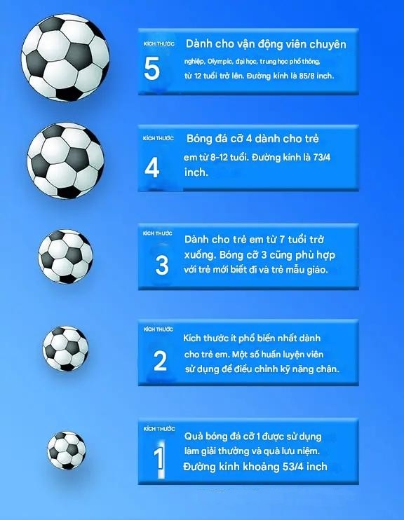 Các kích cỡ bóng đá tiêu chuẩn FIFA.