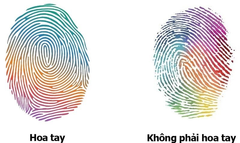 Một câu đố dí dỏm, vừa vui vừa gợi nhắc rằng đôi tay con người cũng mang trong mình những “bông hoa” rất riêng.