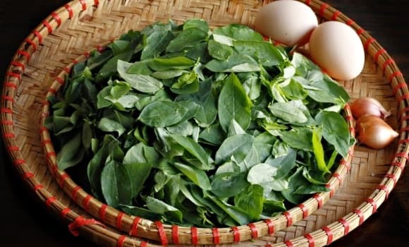 Một trong những lợi ích nổi bật nhất của rau ngót là khả năng hỗ trợ hạ huyết áp nhờ chứa hàm lượng papaverin dồi dào – lên tới 580mg trong mỗi 100g rau.