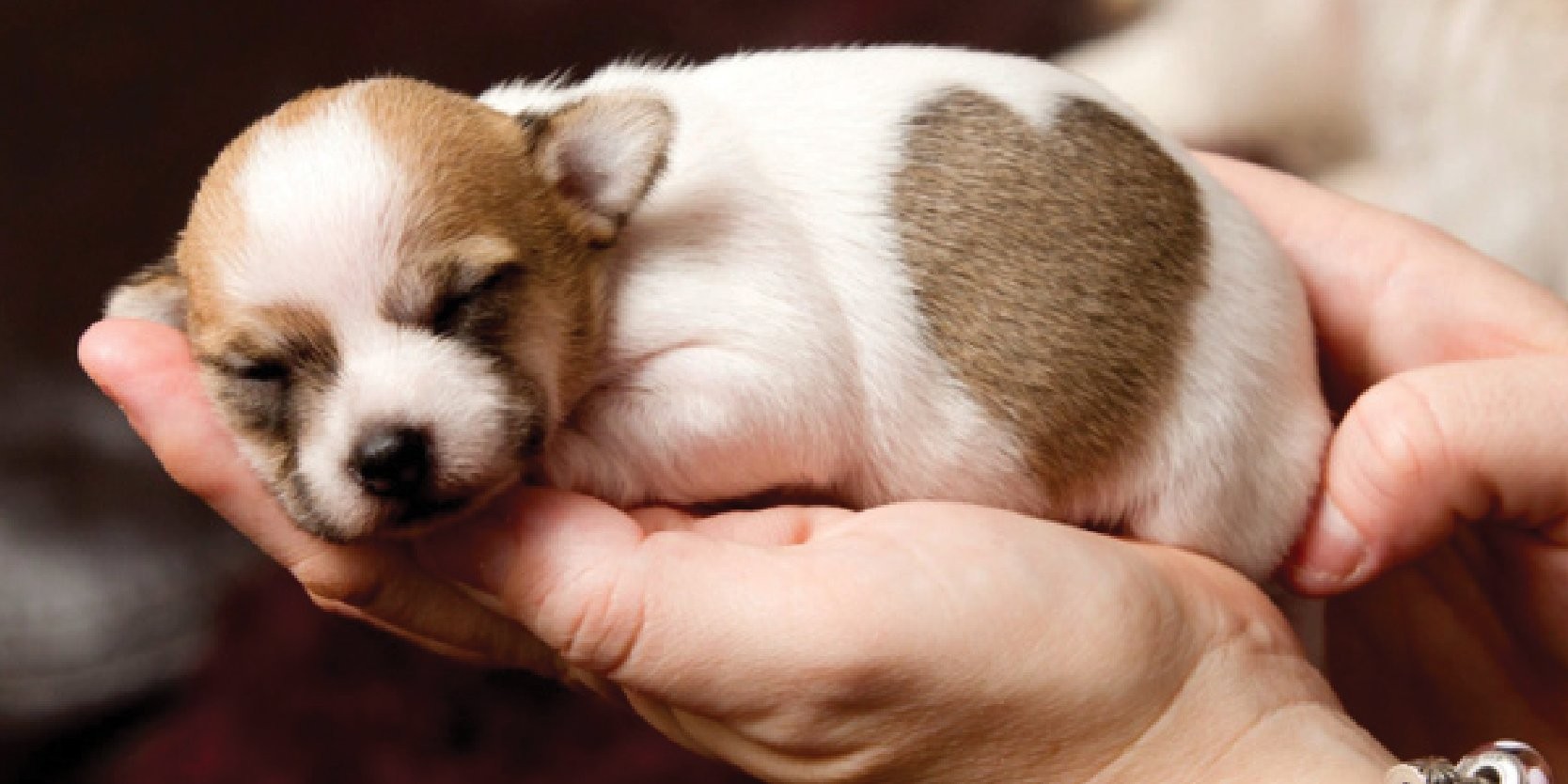 Khi cho con mới sinh nên lưu ý chăm sóc đúng cách.