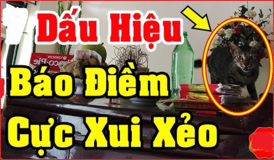 diem-bao-sap-gap-xui-1458