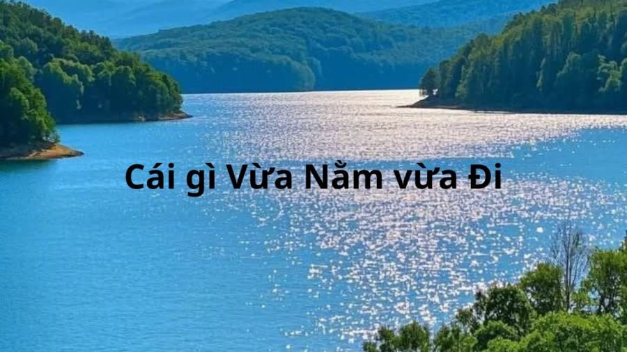 Cái gì vừa nằm vừa đi?