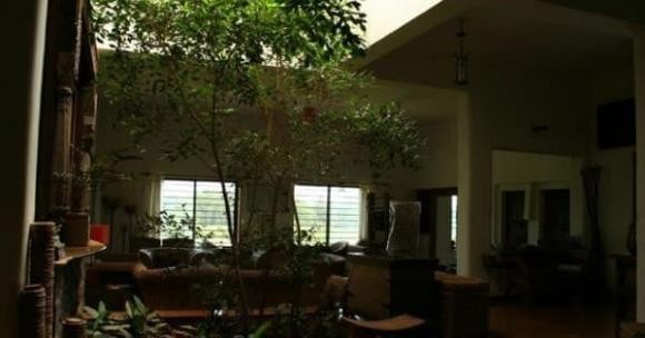 Những ngôi nhà bị các cao ốc hoặc công trình xung quanh chắn gió, che ánh sáng dễ tích tụ âm khí.