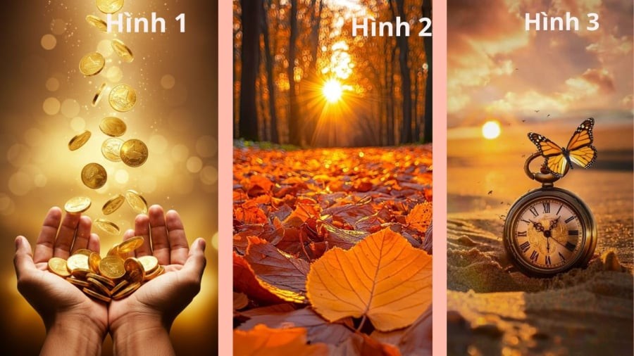 Bạn bị thu hút bởi hình ảnh nào nhất?