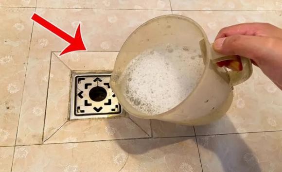 Nguyên nhân chính gây ra côn trùng và mùi hôi trong phòng tắm là hệ thống thoát nước.