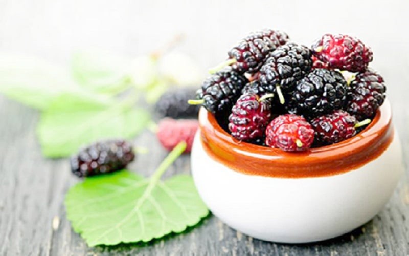 Nhờ khả năng làm sáng da, chống oxy hóa và ngăn ngừa lão hóa sớm, loại lá này dần trở thành bí quyết được nhiều phụ nữ yêu thích trong hành trình chăm sóc da.