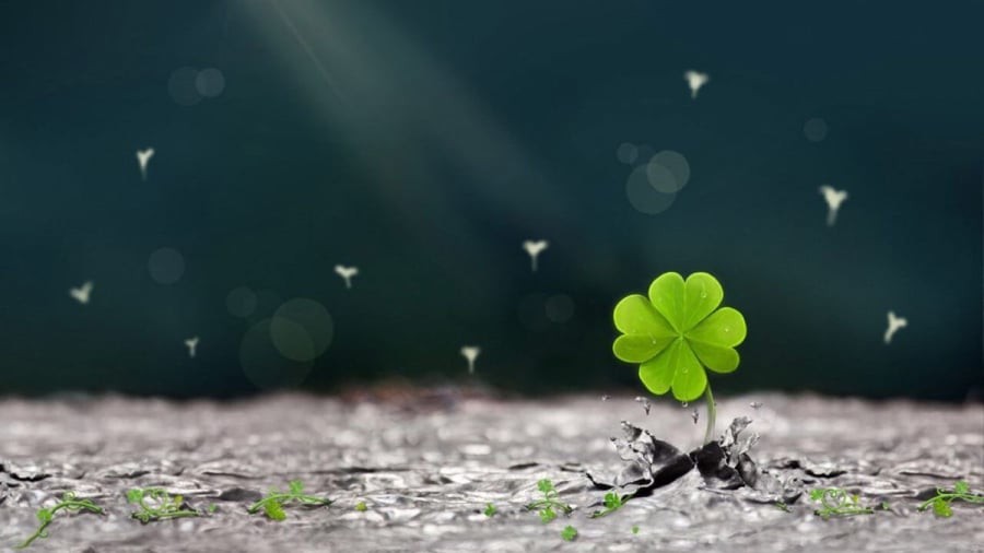 Người có ngày sinh Âm lịch kết thúc bằng số 1 có thể du ngoạn khắp nơi để tìm kiếm sự giàu có, gia tăng vận may của bản thân và gia đình họ cũng sẽ được hưởng lợi từ vận may đó. (Ảnh minh họa)