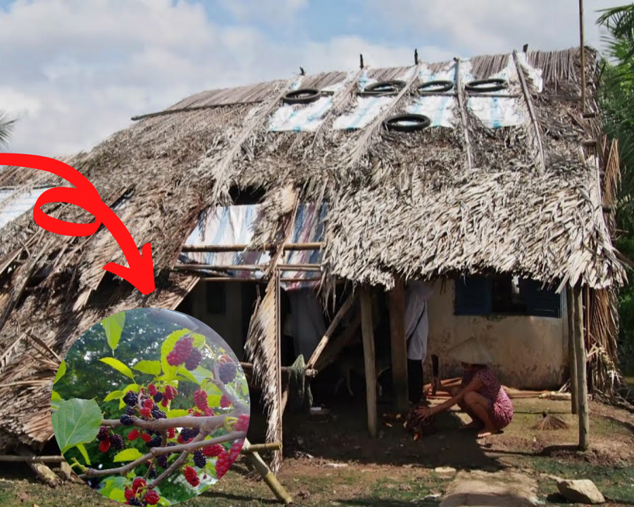 Dù những kiêng kỵ trên được lưu truyền rộng rãi, nhưng không phải vùng miền nào cũng có cùng quan niệm. 