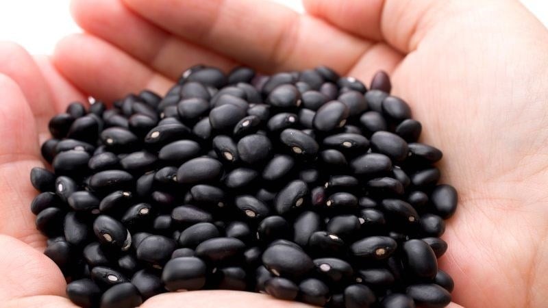 Đậu đen chứa loại protein thực vật, có tác dụng làm cho khả năng sinh sản được tăng lên.