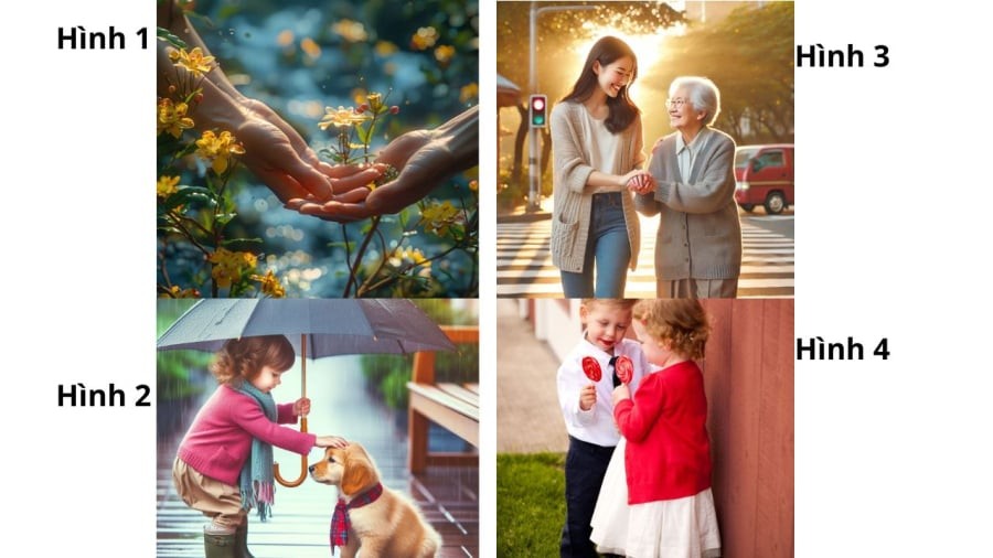 Bạn chọn hình ảnh nào?