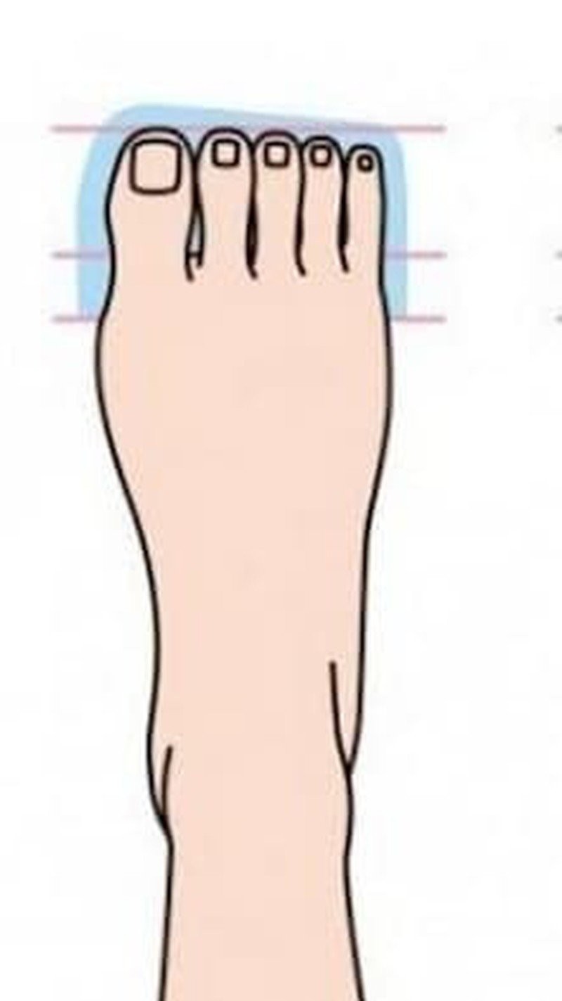 Bàn chân vuông – Các ngón chân có độ dài gần như bằng nhau

