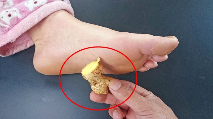 Đắp gừng vào lòng bàn chân mang lại nhiều lợi ích cho sức khỏe.