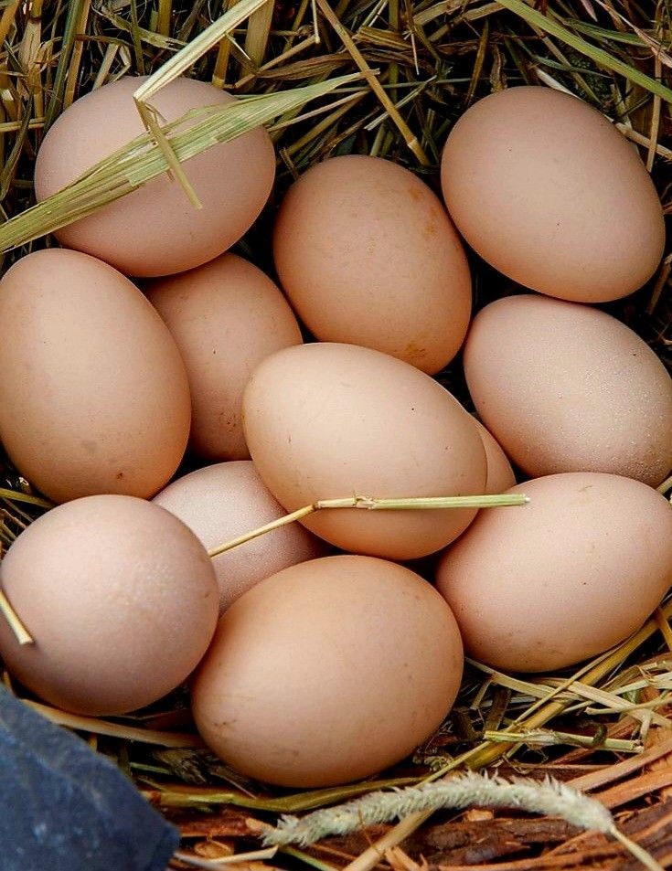 Trứng giàu dinh dưỡng nhưng không phải lúc nào ăn cũng tốt