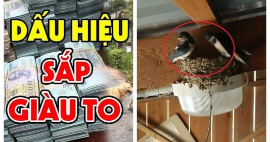 Trong quan niệm dân gian, én bay về báo hiệu mùa xuân, mùa của khởi đầu, sinh sôi và sung túc. 