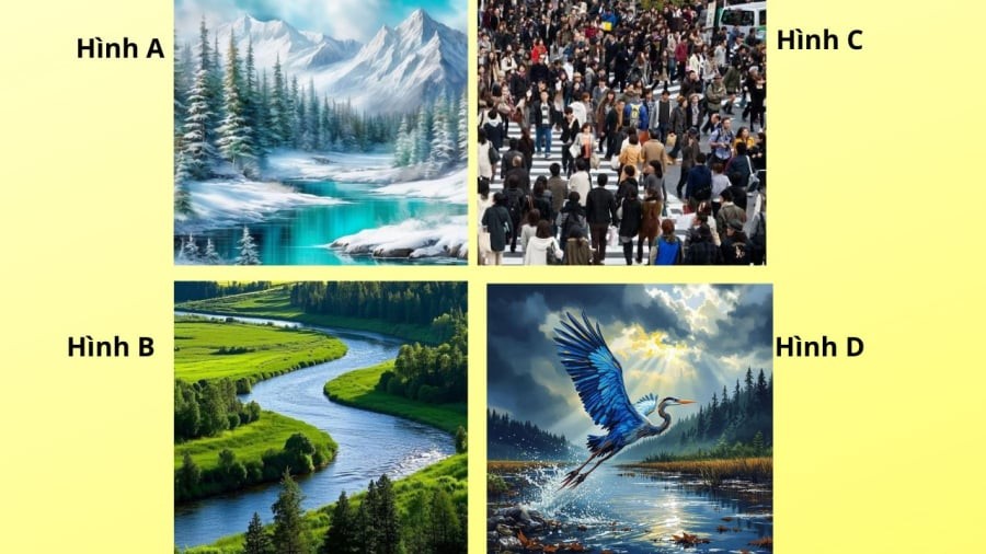 Bạn bị thu hút bởi hình ảnh nào?