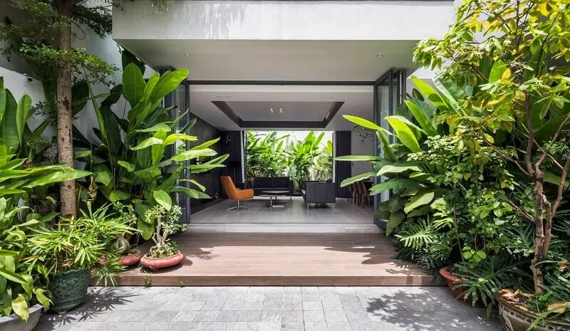 Từ xa xưa, ông bà ta đã có câu: “Trước cau, sau chuối”. Nếu bạn đang băn khoăn chưa biết trồng cây gì phía sau nhà, cây chuối là lựa chọn lý tưởng.