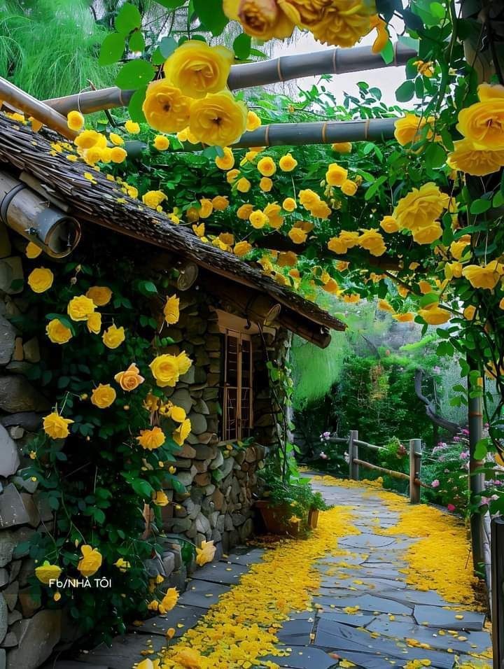 Cây cối quanh nhà xanh tốt nở hoa là điềm báo may mắn