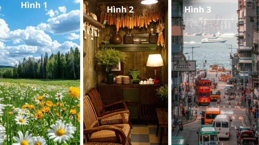 Bạn chọn hình ảnh nào?