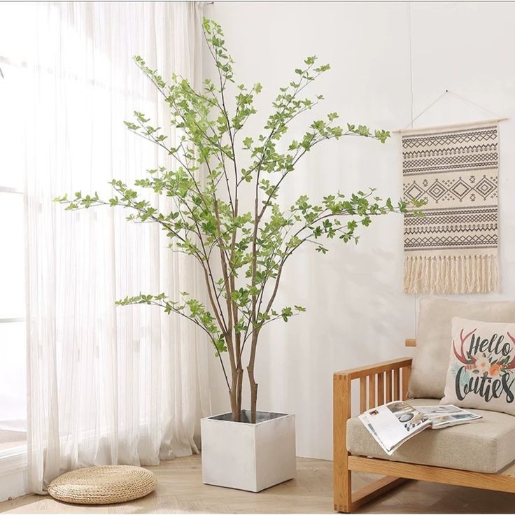 Trong phòng khách có cây xanh giúp thư giãn