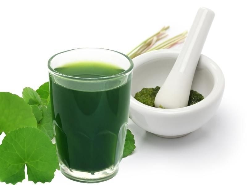 Rau má chứa nhiều hoạt chất có lợi như hydrocotyle và centelloside, giúp kích thích tái tạo tế bào, làm mờ vết thâm nám và làm dịu làn da nhạy cảm.