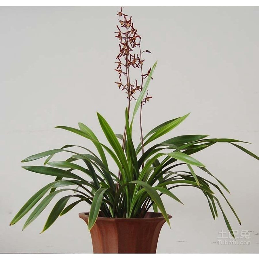 09b07972ec2720676bd1a95db339148d