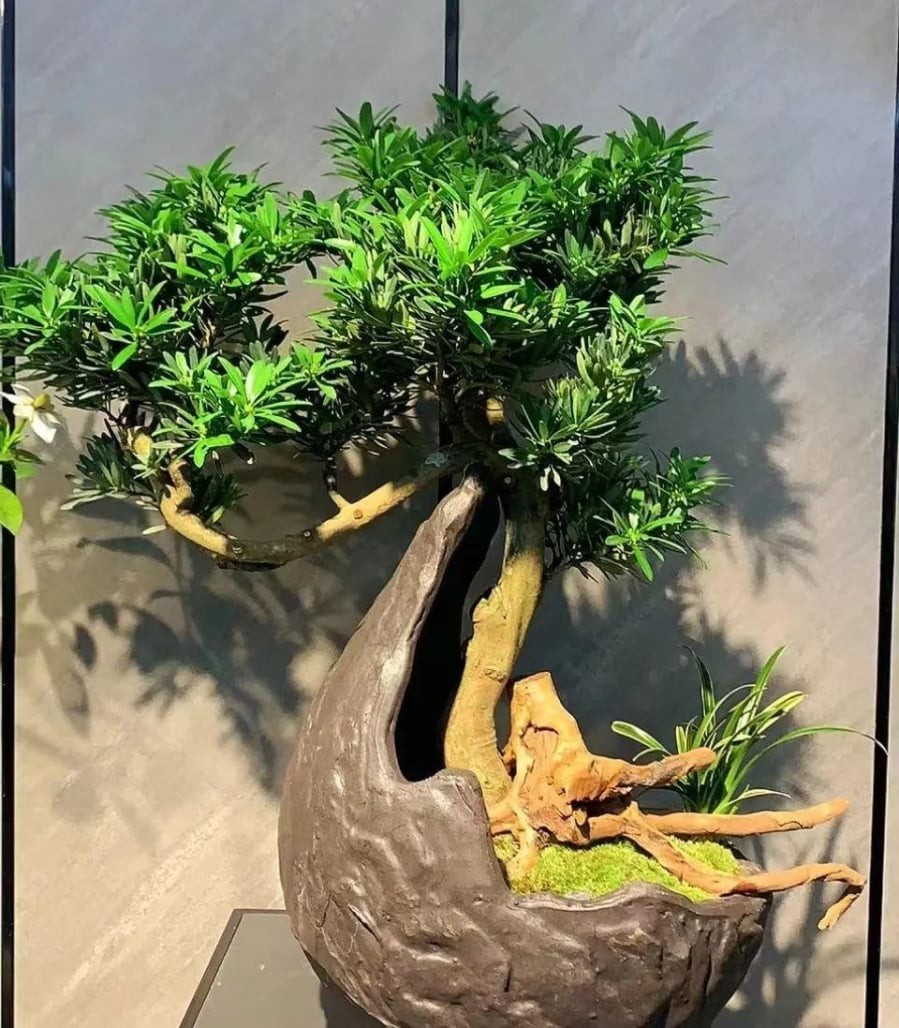 df847f0ef36a48629f8b58caa467c653-150753-1763024621619-17630246217921084990675