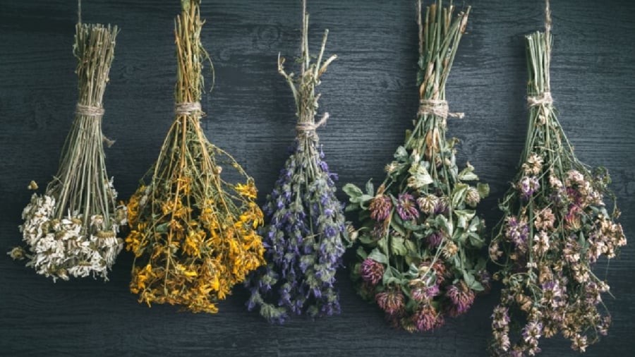 Đặt hoa khô ở đầu giường có thể ảnh hưởng xấu tới sức khỏe.