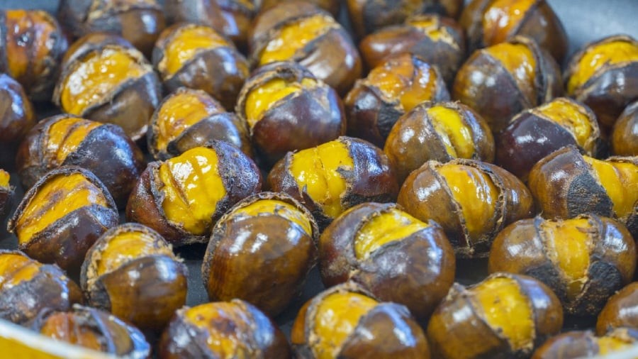 Hạt dẻ được coi là nhân sâm của mùa đông, mang lại nhiều lợi ích cho sức khỏe.