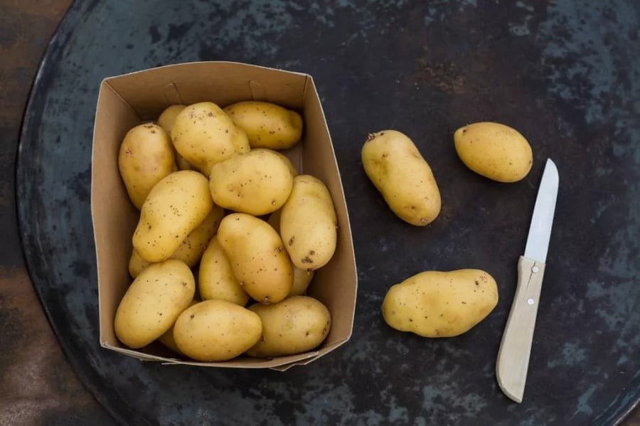 Khoai tây là nguồn tốt của vitamin C, vitamin B6, kali và mangan. Ảnh minh họa