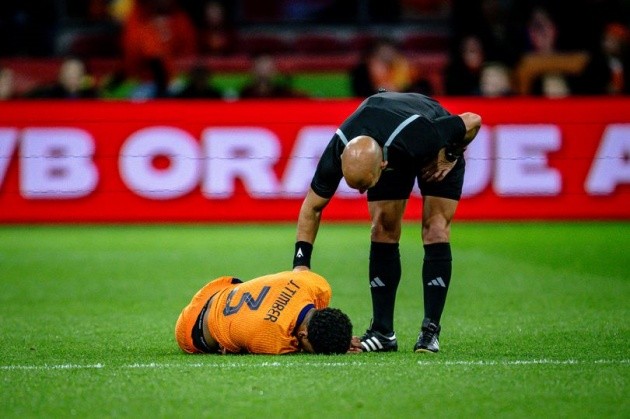 Hình ảnh gây lo lắng của Timber.