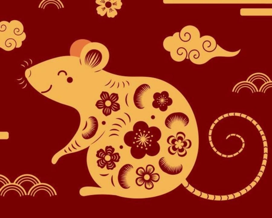 Người tuổi Tý thông minh, nhanh nhẹn. Ảnh minh họa