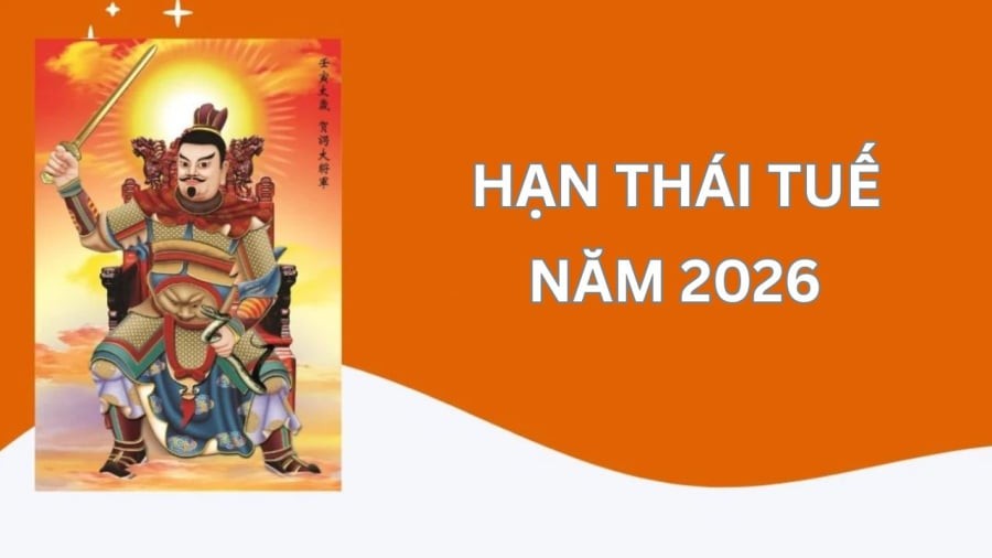 Có 4 con giáp sẽ chịu ảnh hưởng mạnh mẽ nhất từ Thái Tuế trong năm Bính Ngọ 2026 gồm Ngọ, Tý, Sửu, Mão.