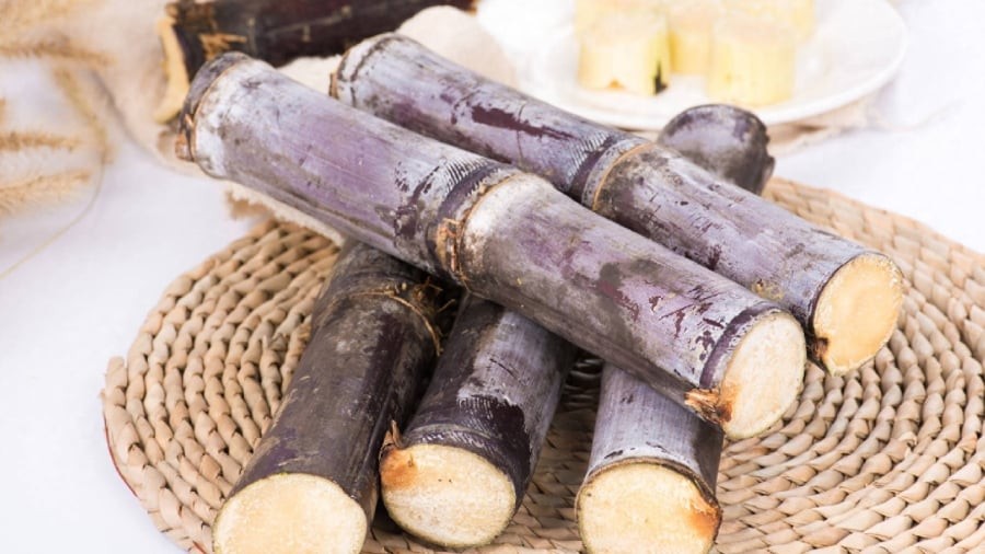 Ăn mía vào mùa đông mang lại nhiều lợi ích cho sức khỏe.