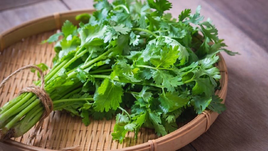 Rau mùi mua về có thể rửa sạch rồi để thật khô ráo trước khi bảo quản.