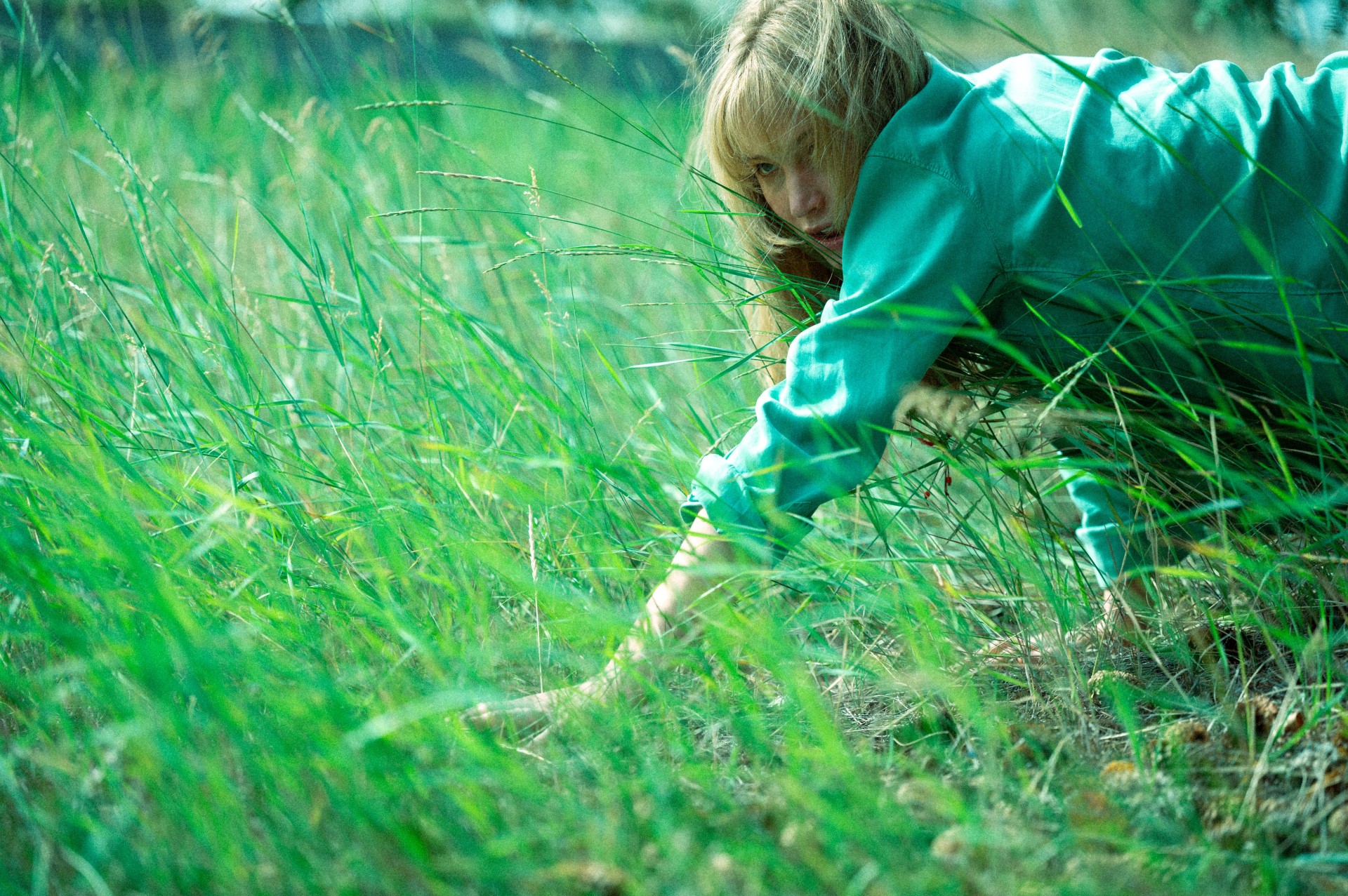 DieMyLove_Still5_©MUBI_Credit_Kimberley-French (1)