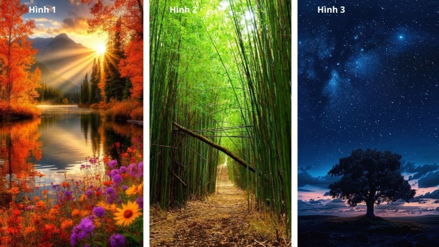 Bạn chọn hình ảnh nào?