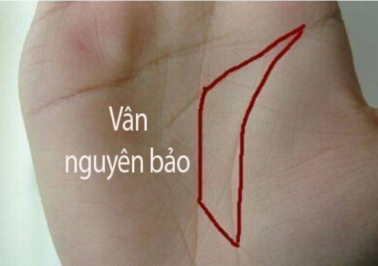 Người sở hữu nét tướng lòng bàn tay có hình thỏi vàng đa phần là những người có số phận may mắn hơn hẳn người khác.