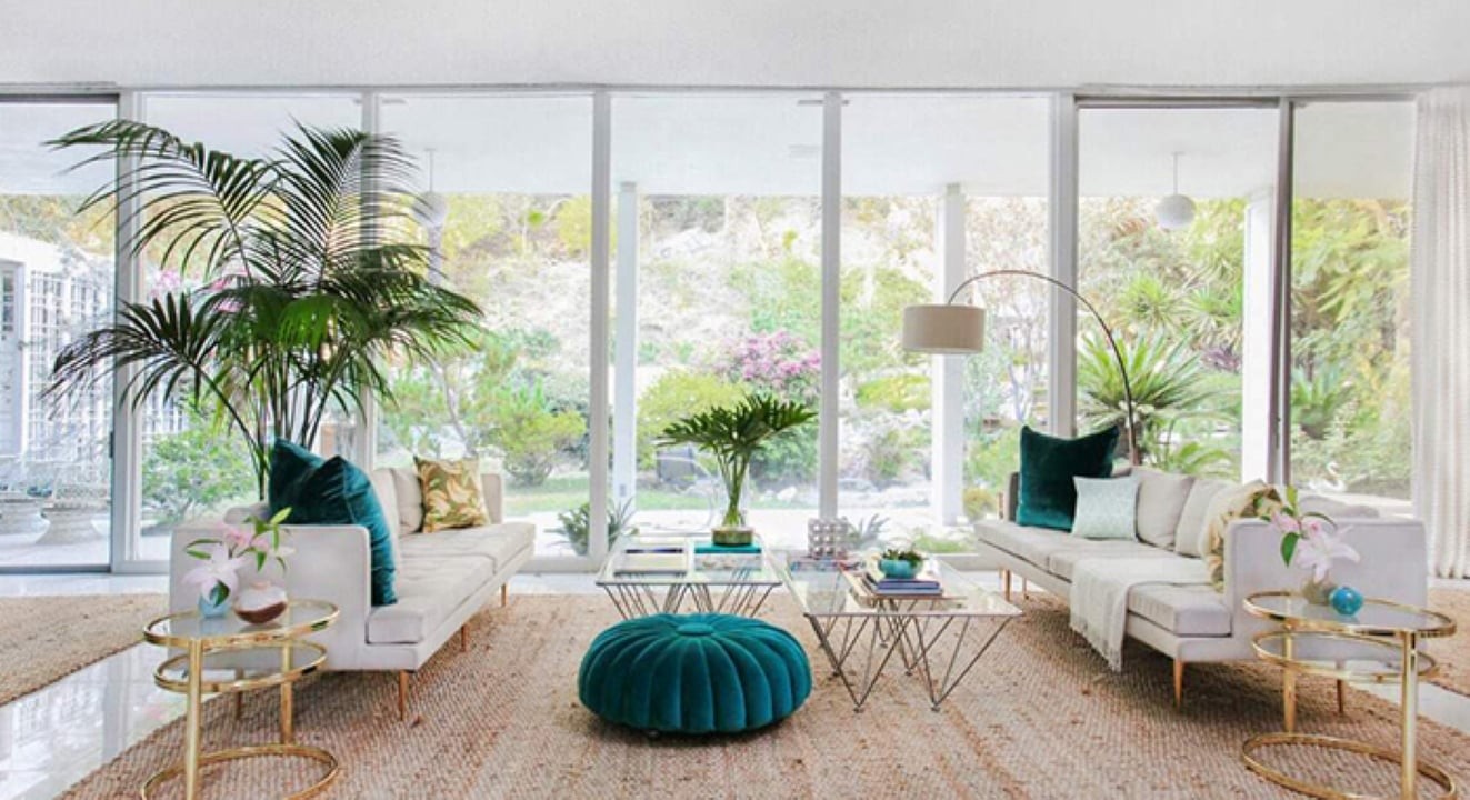 Một số loại cây dễ chăm sóc và có ý nghĩa tốt lành như cây tiền, cây trúc may mắn, đặt ở vị trí tài lộc trong nhà hoặc phòng khách sẽ thu hút may mắn đàn kể. (Ảnh minh họa)