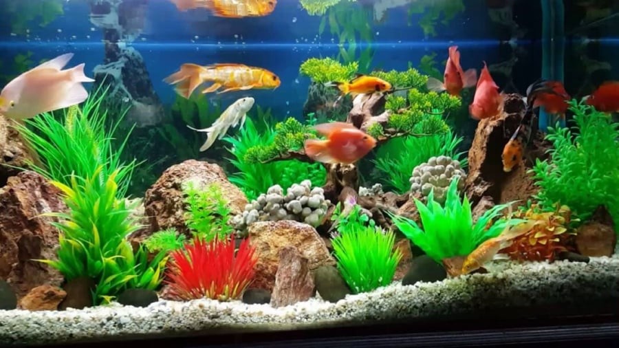 Mang nhiều may mắn nhất cho chủ nhân là các công trình nước có dòng nước chuyển động 