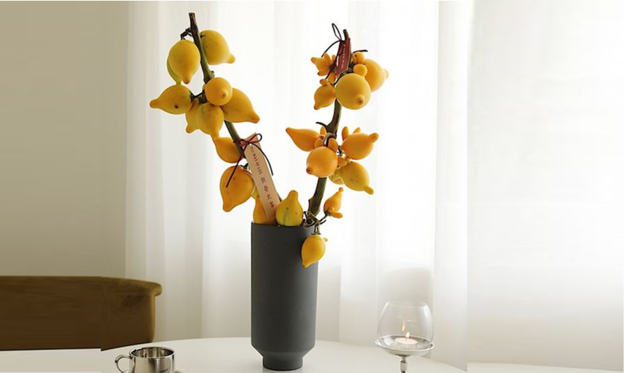 Ngũ đại đồng đường tượng trưng sum vầy – giúp cân bằng năng lượng Thổ trong nhà.