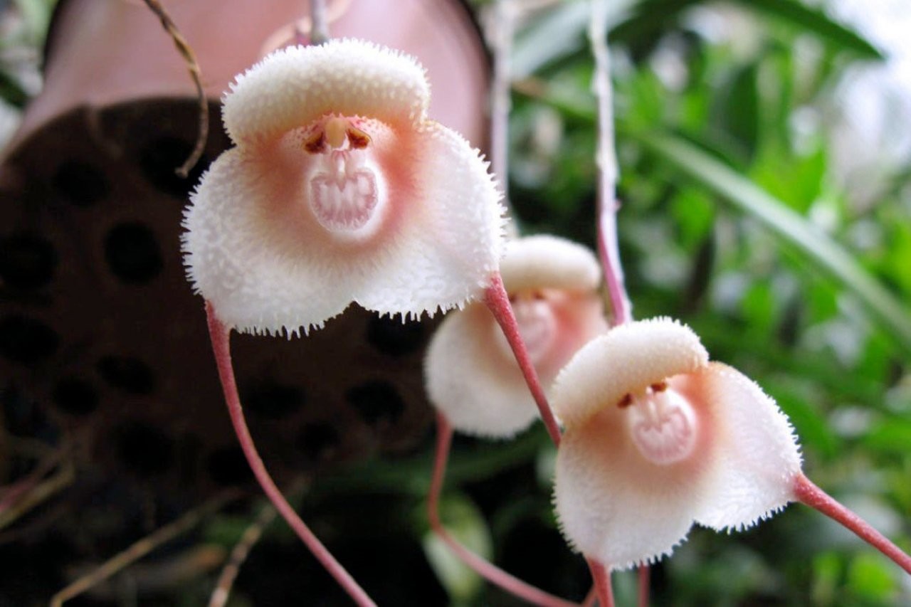 Nếu bạn sinh vào 1 trong 3 tháng âm lịch này, điều đó không có nghĩa là bạn sẽ đạt được thành công về mặt tài chính. (Ảnh minh họa)