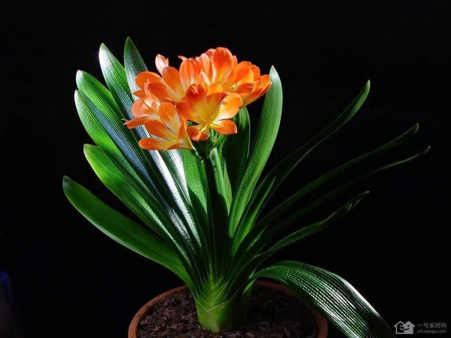 z7254329713765_4698237214d9634d017f25ee581999a1