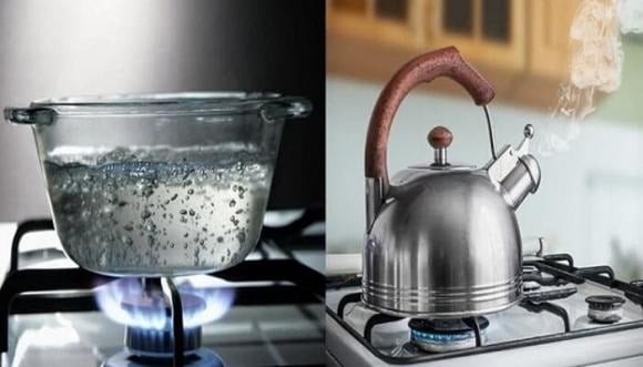  Bình thủy tinh, nhựa hay bình lọc nếu không rửa kỹ có thể tích tụ cặn, rêu, biofilm (màng vi sinh vật) ở đáy hoặc thành bình. 