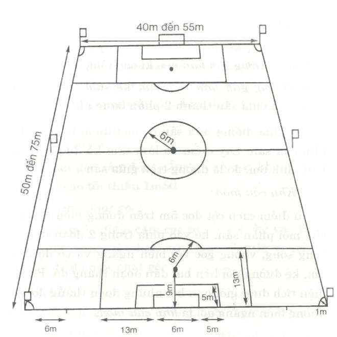 Sân 7 người thu nhỏ, vòng cấm 6m, không gian hẹp đòi hỏi các cầu thủ di chuyển linh hoạt giữa phòng ngự và tấn công